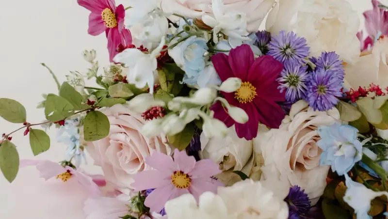 Langlebige Schnittblumen in einer Vase — frisch und farbenfroh